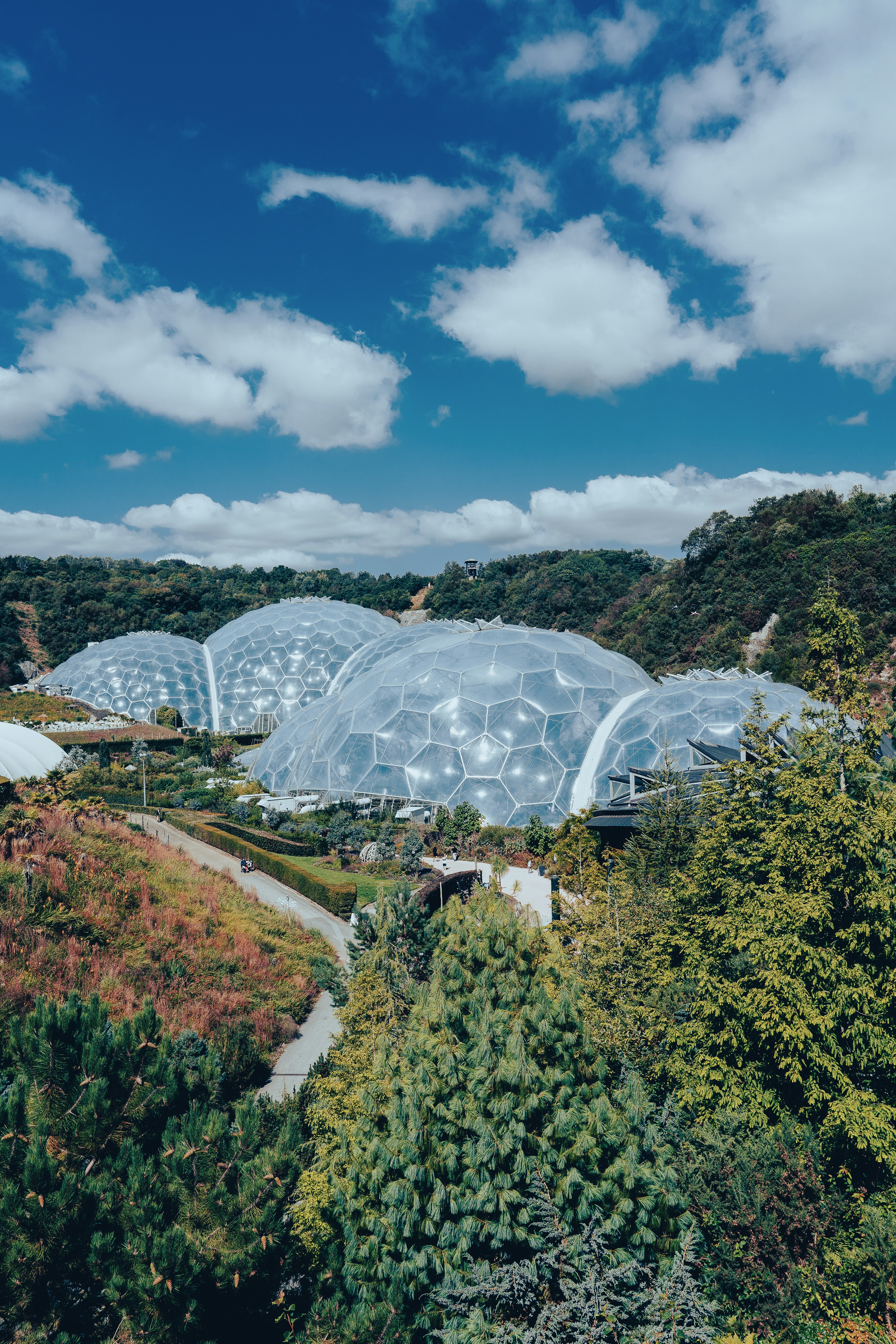 the eden project credit ben ellioy