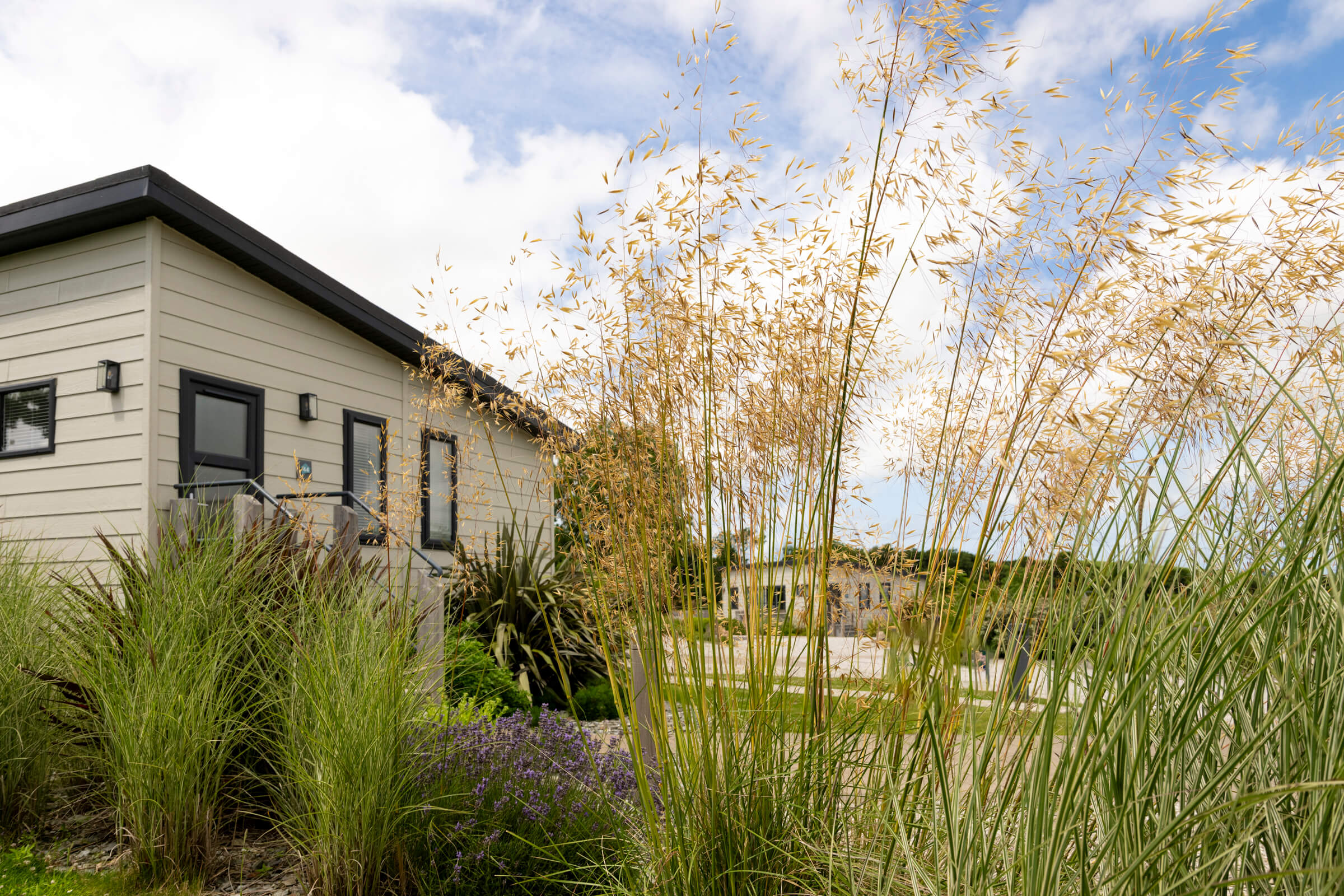 Exterior of lodge and grasses at St Mabyn in Cornwall