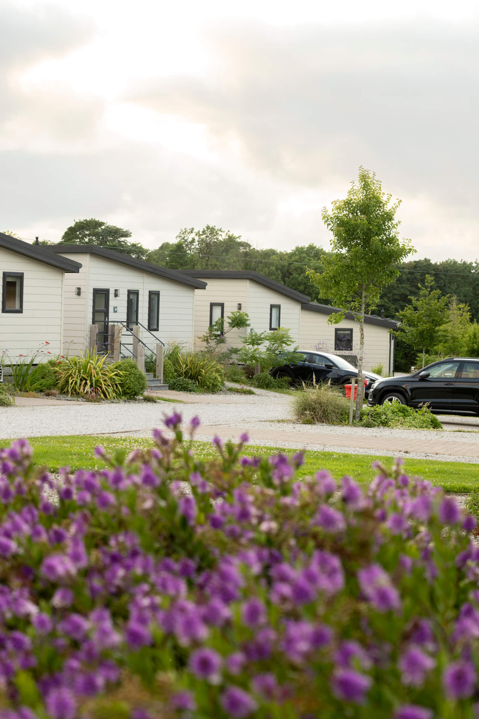 St Mabyn Holiday park lodges in Cornwall