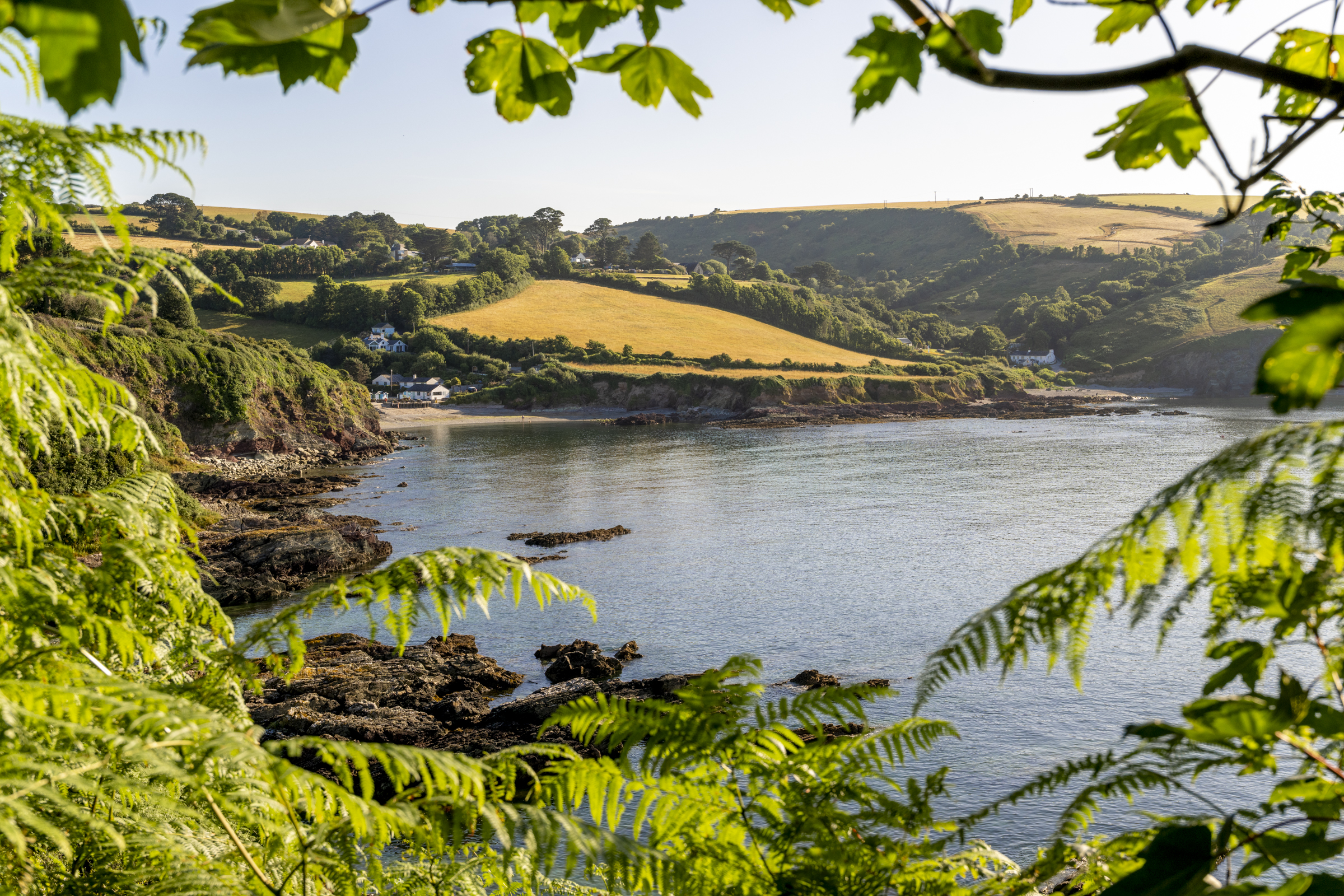 Talland Bay sea view through woodland